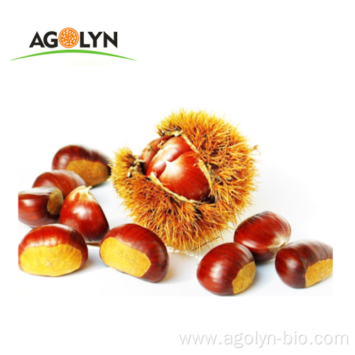 High Quality Roasted Peeled Chestnuts for Snacks